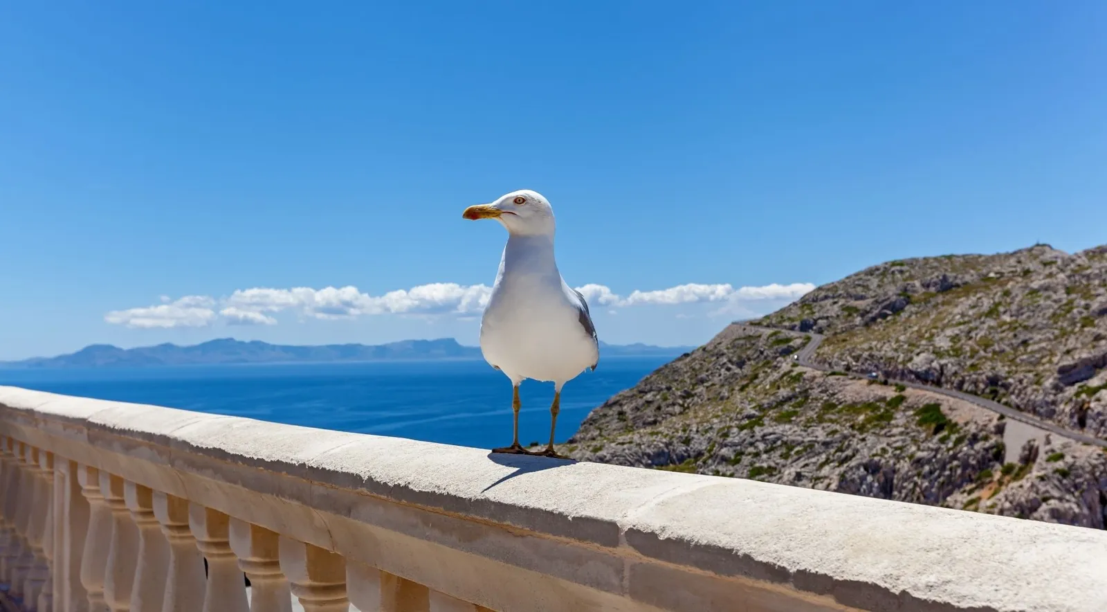 Gull on a white balustrade above the sea and the Sorrentine hills