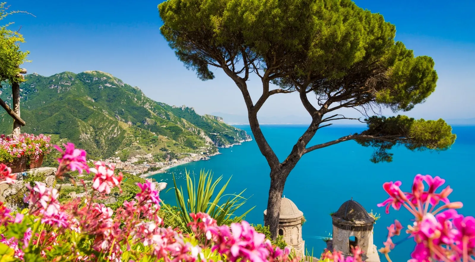 Umbrella pine and flowers on a terrace above the coast at Ravello