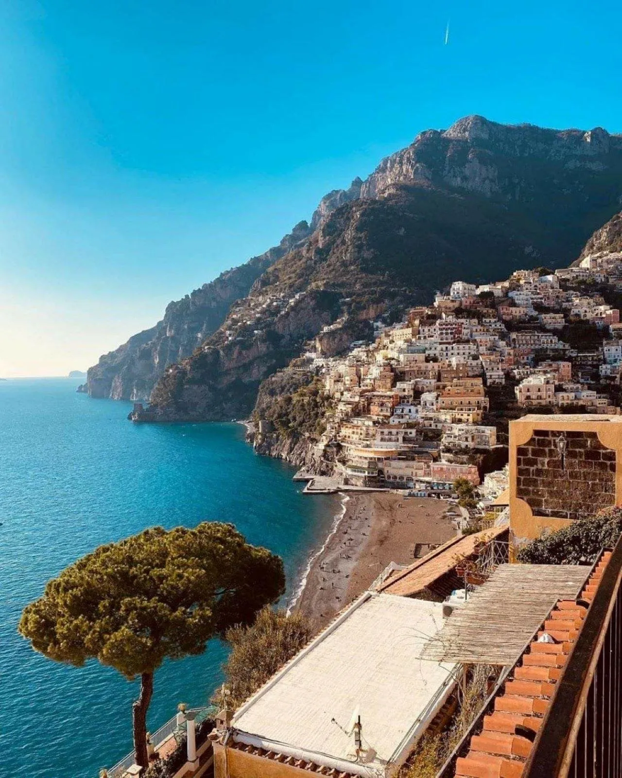 Positano's hillside houses and pebble beach seen from a terrace with a pine tree