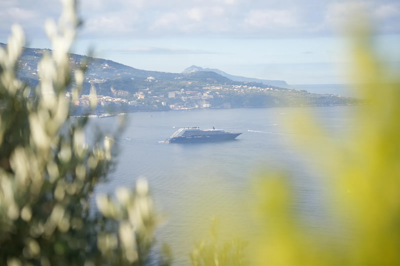 Blurred foliage in the foreground, with a ship in a wide bay and a distant coast