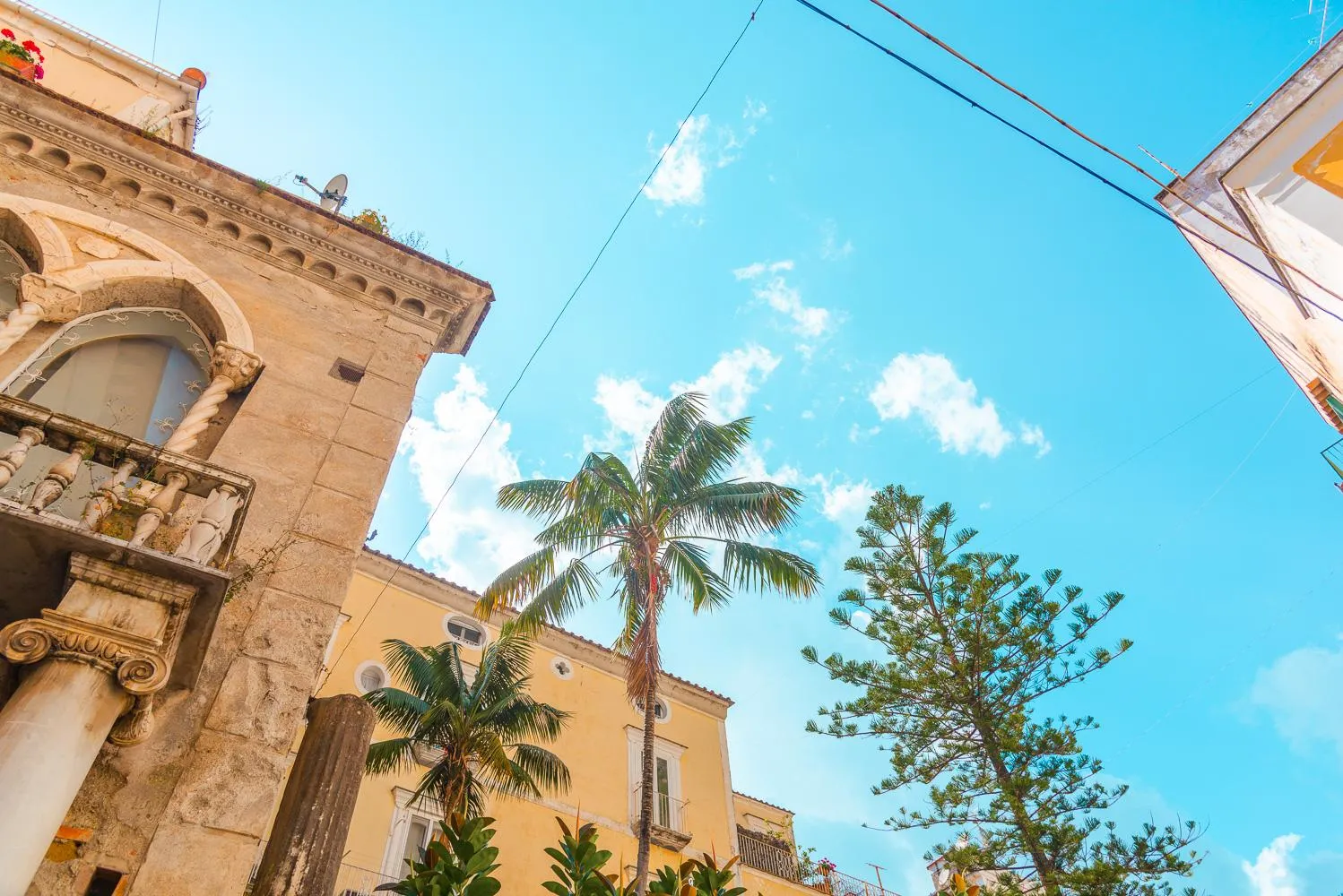 Old stone building, palm trees and cables seen looking up at the sky